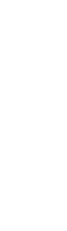 Logo Vertical